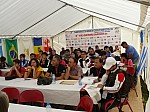 1380251.jpg 1380251.jpg