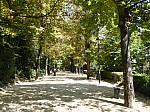 1380435.jpg 1380435.jpg