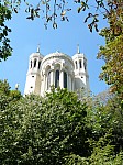 1380437.jpg 1380437.jpg