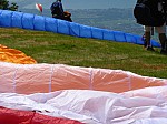 1390524.jpg 1390524.jpg