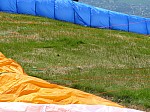 1390527.jpg 1390527.jpg
