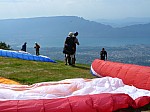 1390528.jpg 1390528.jpg