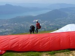 1390529.jpg 1390529.jpg