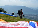 1390534.jpg 1390534.jpg