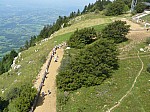 1390545.jpg 1390545.jpg