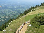 1390546.jpg 1390546.jpg