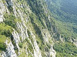 1390548.jpg 1390548.jpg