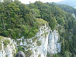 1390561.jpg 1390561.jpg