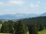 1390503.jpg 1390503.jpg