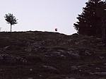 1390669.jpg 1390669.jpg