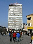 0231.jpg 0231.jpg