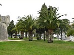30004.jpg 30004.jpg