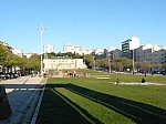 20461.jpg 20461.jpg