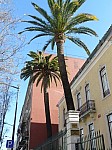 20575.jpg 20575.jpg