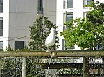 20580.jpg 20580.jpg