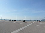 20605.jpg 20605.jpg