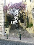20633.jpg 20633.jpg