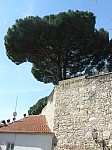 20696.jpg 20696.jpg