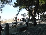 20723.jpg 20723.jpg