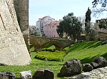 20733.jpg 20733.jpg