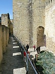 20741.jpg 20741.jpg