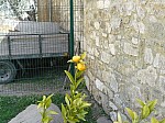 20749.jpg 20749.jpg