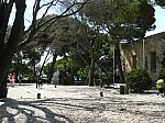 20751.jpg 20751.jpg