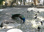 20754.jpg 20754.jpg