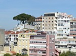 20790.jpg 20790.jpg