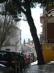 20793.jpg 20793.jpg