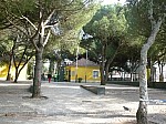 20909.jpg 20909.jpg