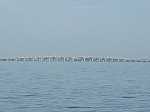 30272.jpg 30272.jpg