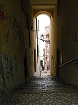 30317.jpg 30317.jpg
