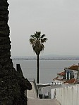 30331.jpg 30331.jpg