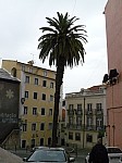30344.jpg 30344.jpg