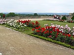 460763.jpg 460763.jpg
