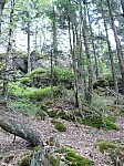 0468.jpg 0468.jpg