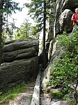 0477.jpg 0477.jpg