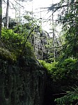 0499.jpg 0499.jpg