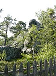 0541.jpg 0541.jpg