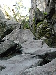 0595.jpg 0595.jpg