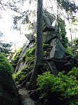 0601.jpg 0601.jpg