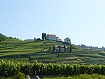 1470495.jpg 1470495.jpg