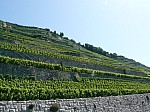1470507.jpg 1470507.jpg