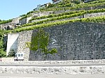 1470511.jpg 1470511.jpg