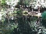 480421.jpg 480421.jpg