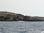 500041.jpg 500041.jpg
