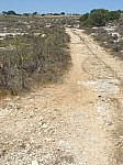 490101.jpg 490101.jpg