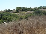 490150.jpg 490150.jpg