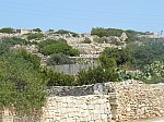490161.jpg 490161.jpg